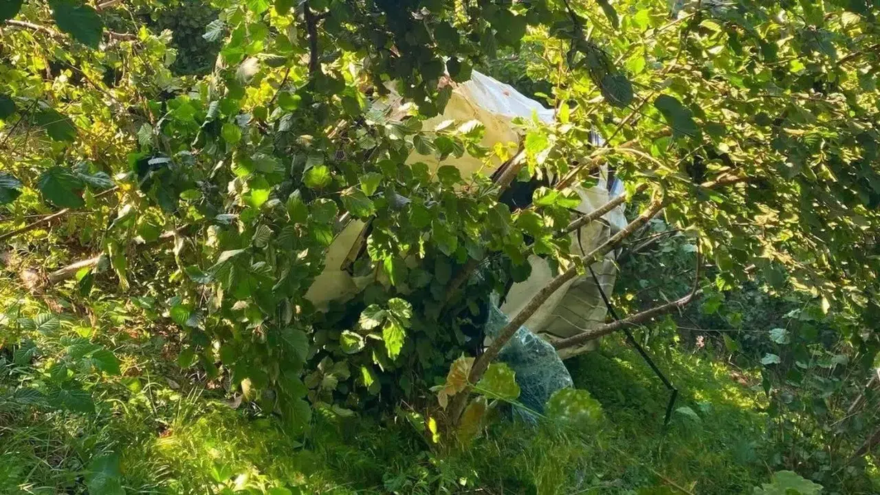 Giresun'da kamyonet fındık bahçesine devrildi: 1 kişi yaşamını yitirdi