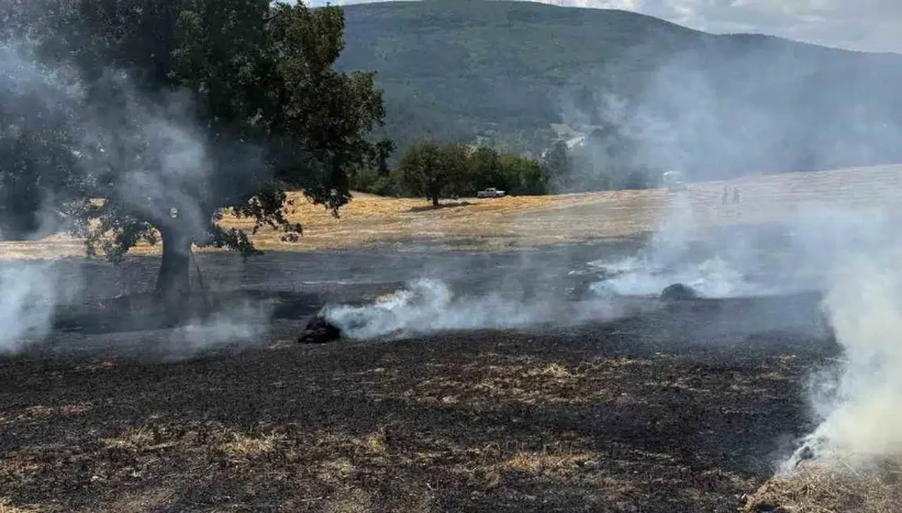Bolu’da tarlada yangın çıktı: Yangınla ilgili inceleme başlatıldı