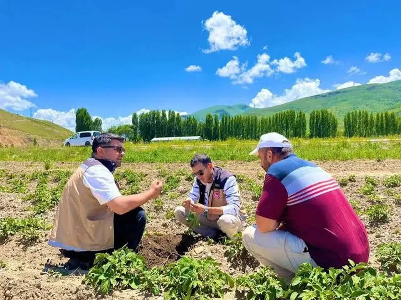 Bayburt'ta patates tarlalarında hastalık belirtisi uyarısı