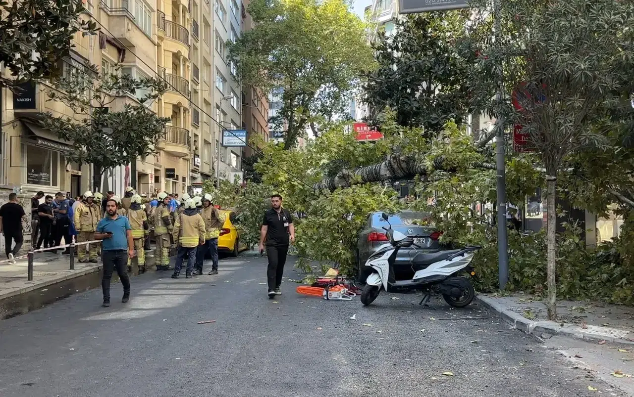 Nişantaşı’nda çınar ağacı iki aracın üzerine düştü