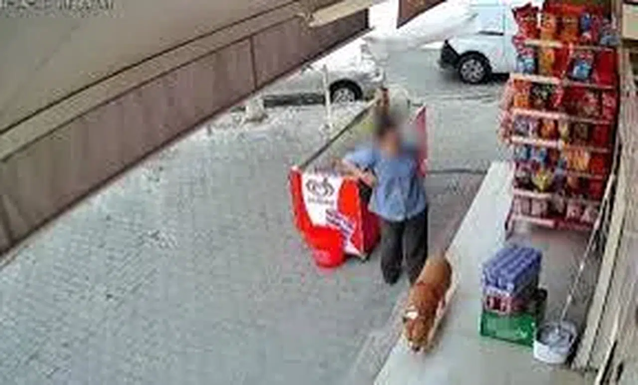 İzmir’de pitbull saldırısı: İşaret parmağı koptu