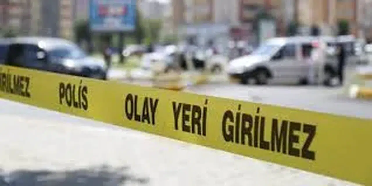 Diyarbakır'da hafif ticari araca silahlı saldırı: 1 kadın yaşamını yitirdi