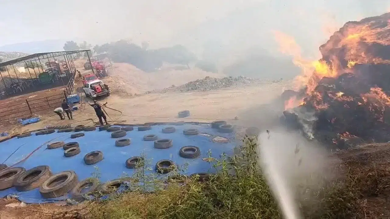 Çine'de yol kenarındaki otlar alev aldı: Saman balyaları tutuştu