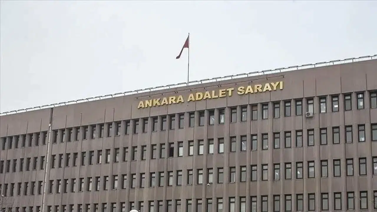 Yavru kedinin öldürülmesine soruşturma: 2 şüpheli hakkında gözaltı kararı verildi