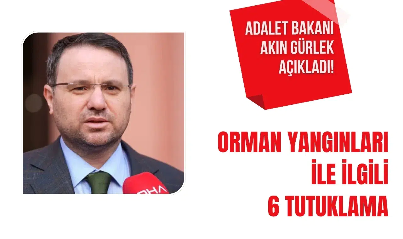 Adalet Bakanı Akın Gürlek açıkladı! Orman yangınları ile ilgili 6 tutuklama