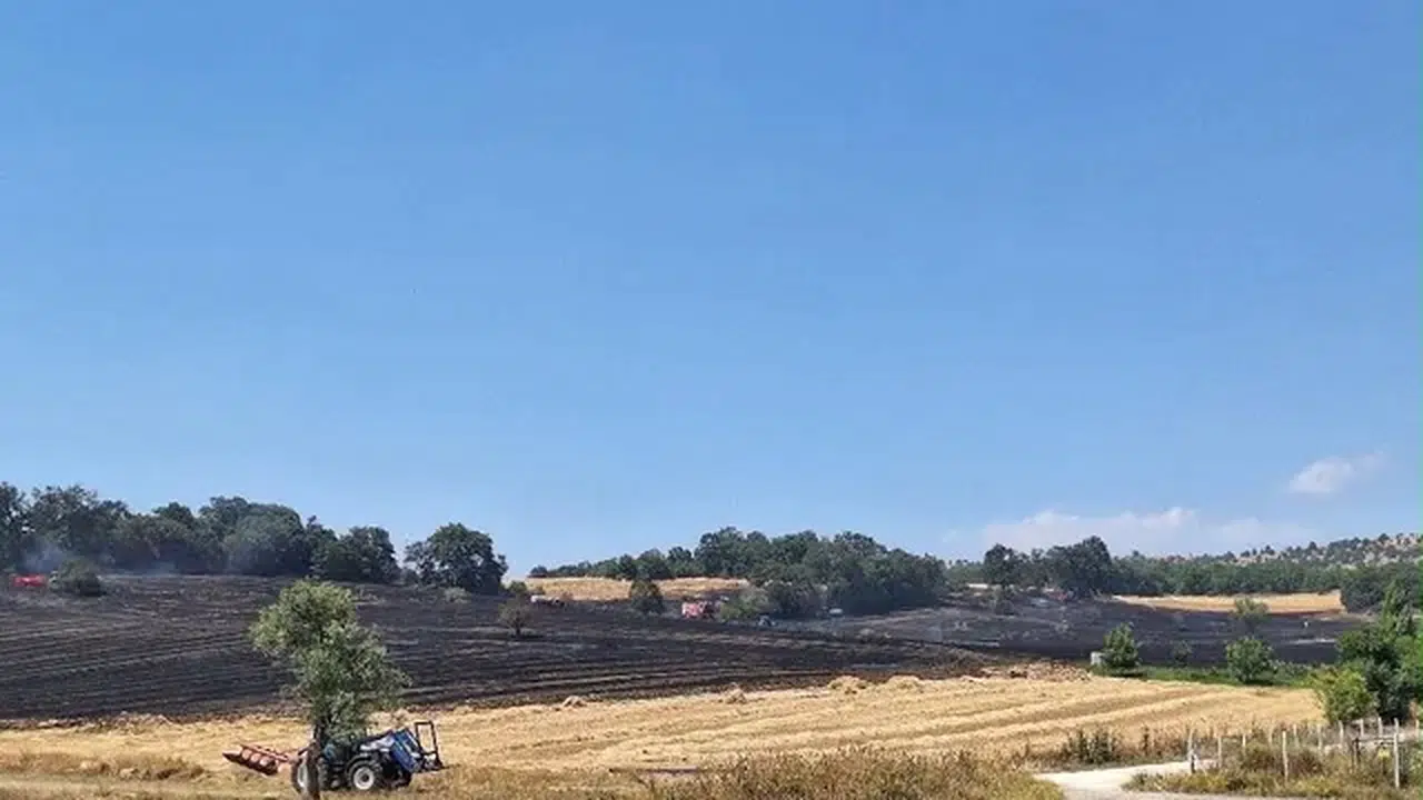 Bilecik'te arazi yangını: 80 dönüm alan zarar gördü