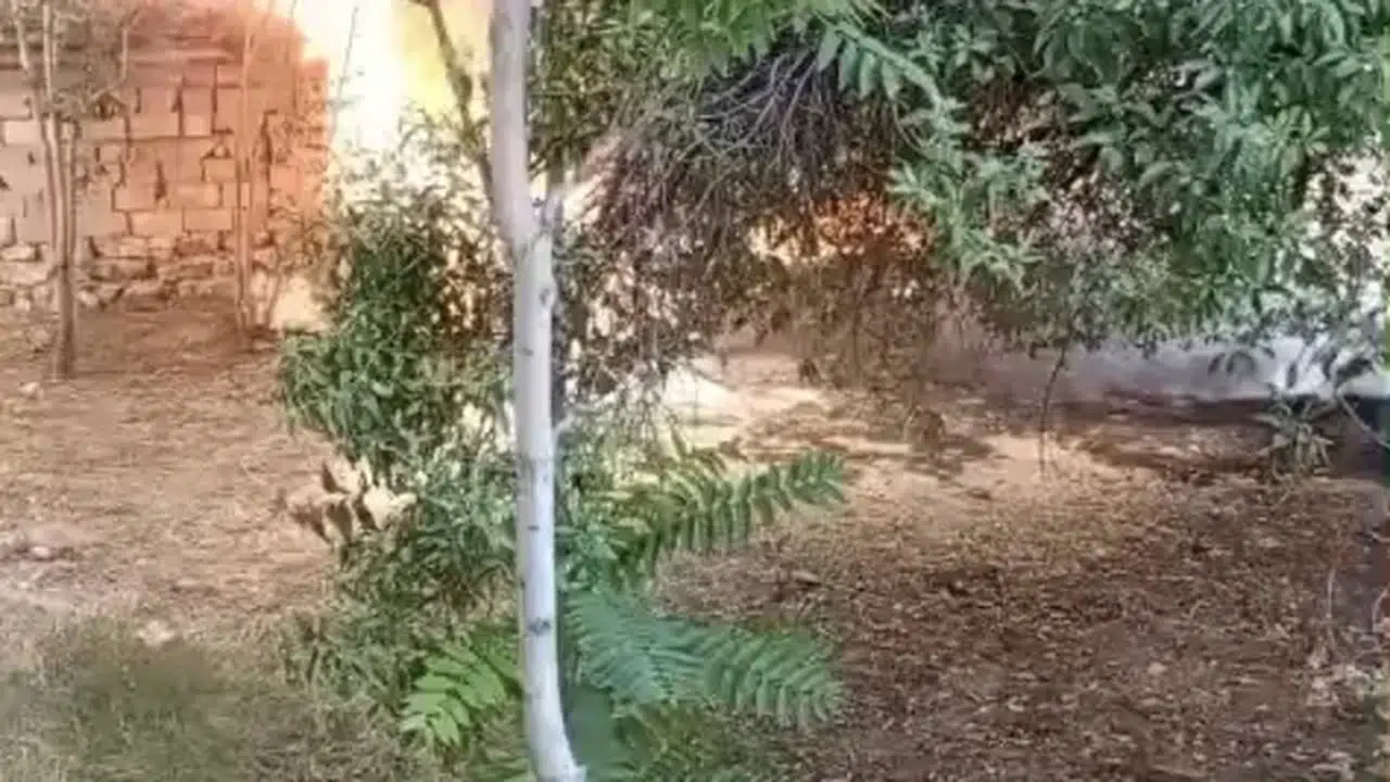 Konya’da boş alanda yangın: Ağaçlar zarar gördü