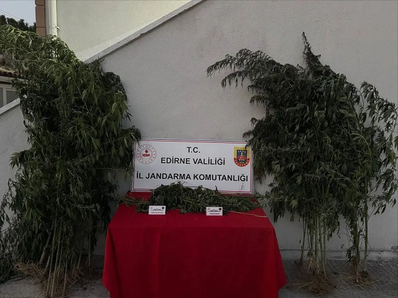 Edirne'de hint keneviri eken şahıs tutuklandı