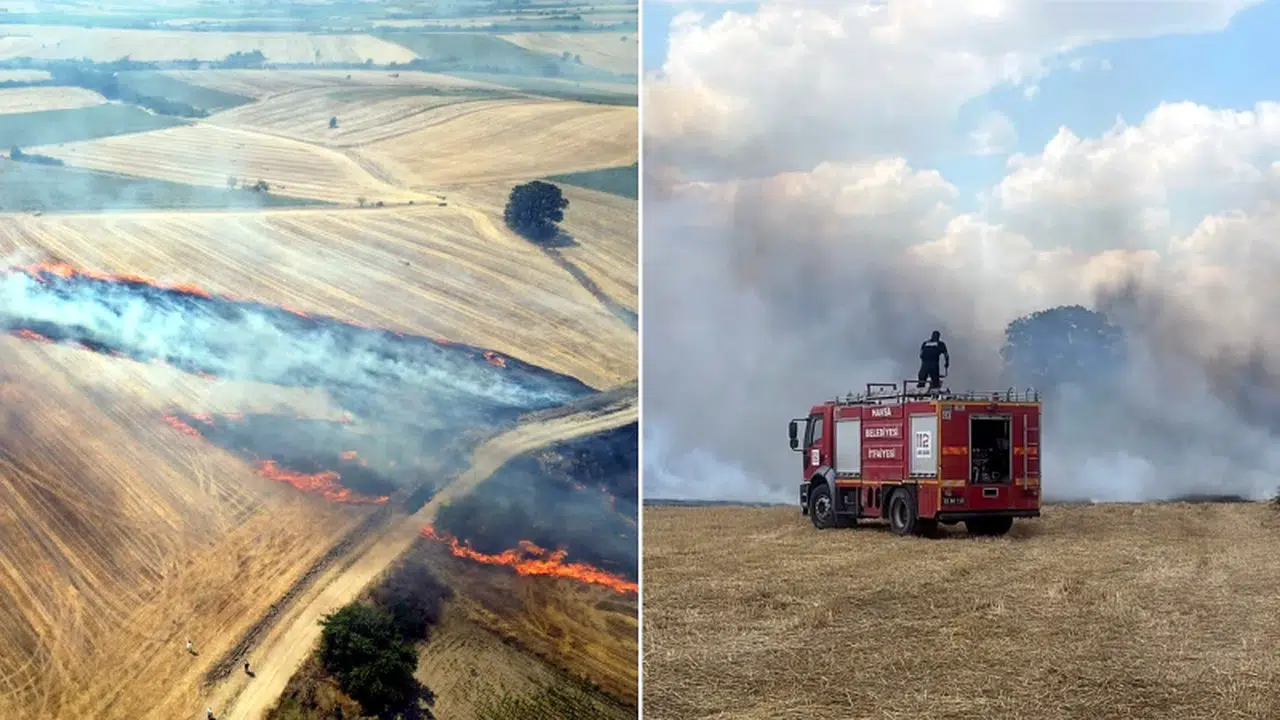 Edirne'de yangın: 1500 dekar arazi zarar gördü