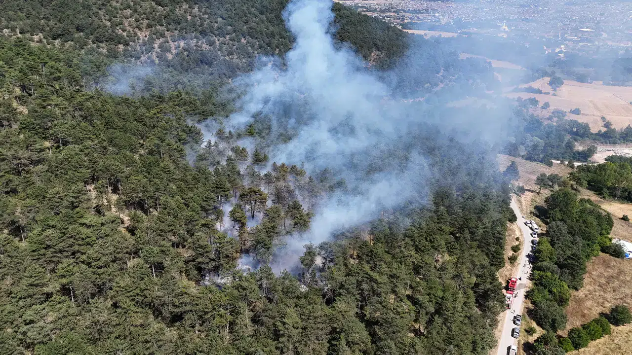 Bolu'da orman yangını: Yangına müdahale sürüyor