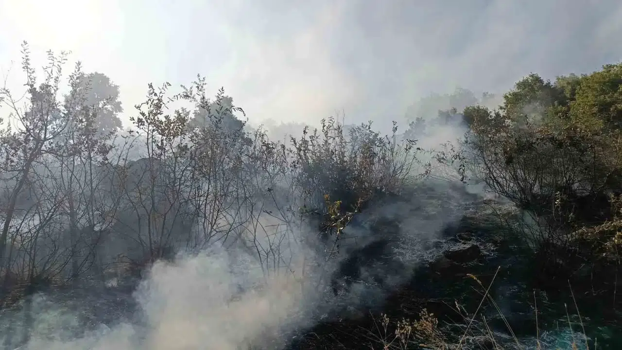 Bingöl'de orman yangınları: Kontrol altına alınarak söndürüldü