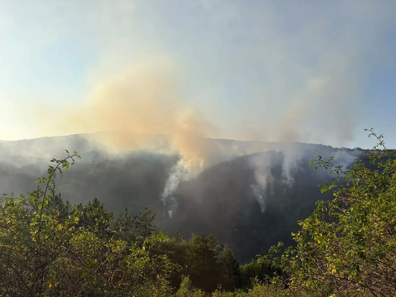 Kastamonu'da orman yangını kontrol altına alındı
