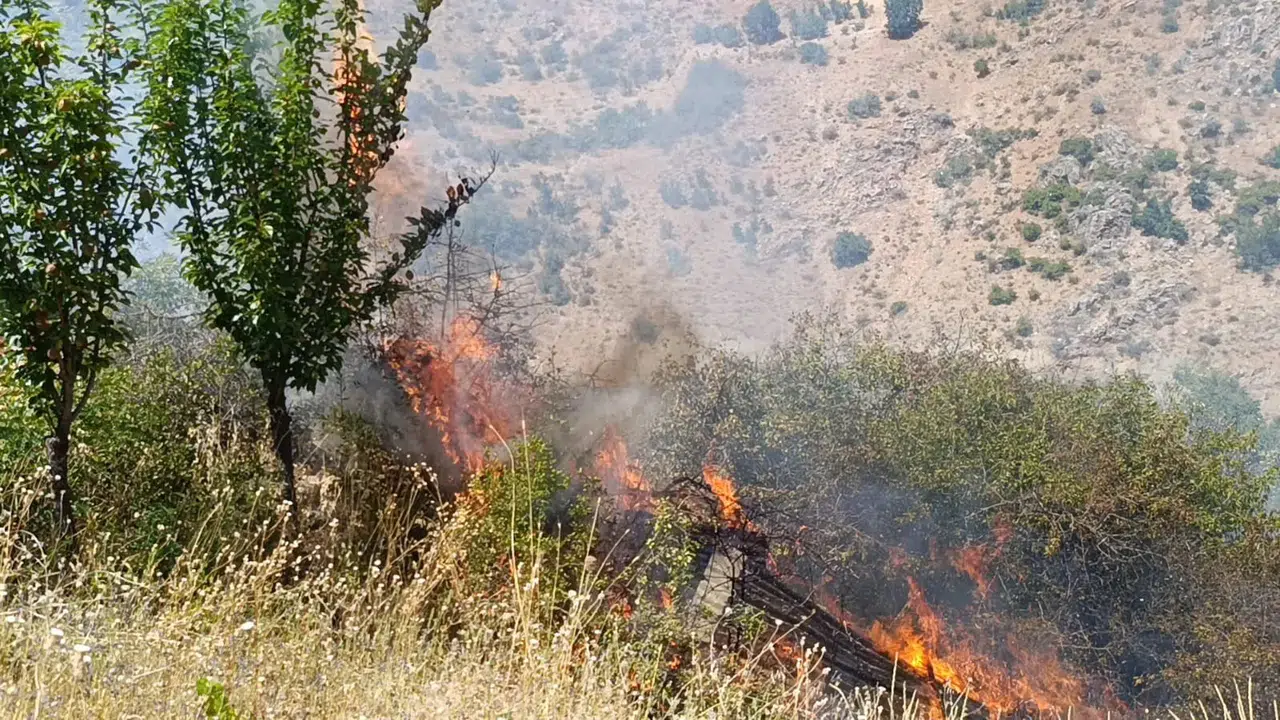 Malatya'da yangın: Meyve bahçesi ve üzüm bağları zarar gördü