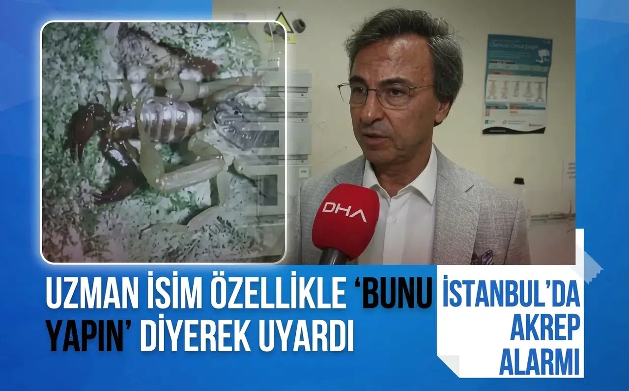 Ayakkabınızı giymeden önce mutlaka bakın! Uzmandan İstanbul için akrep uyarısı