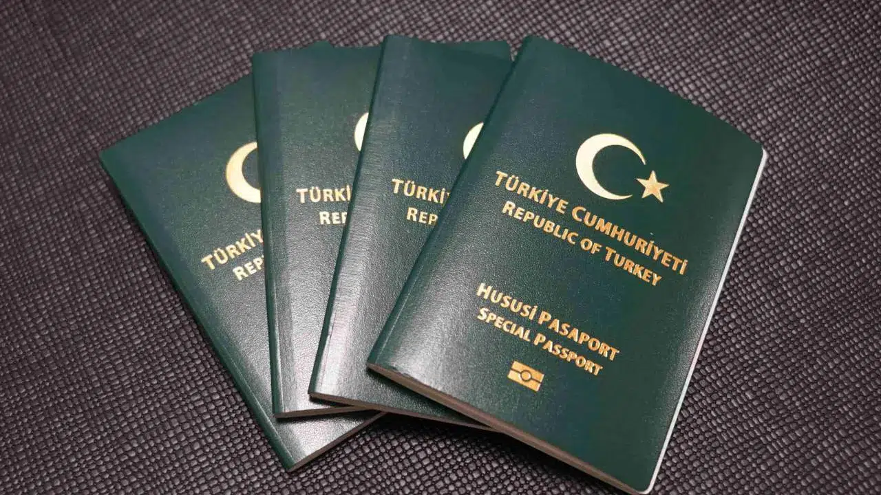 Yeşil pasaport düzenlemesine AYM'den itiraz