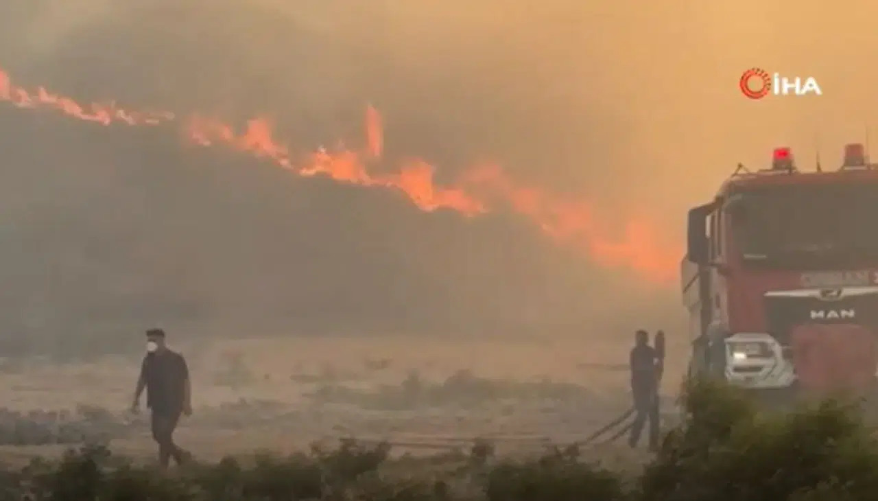 Hatay’da orman yangını! Yerleşim yerlerine yakın noktada çıktı