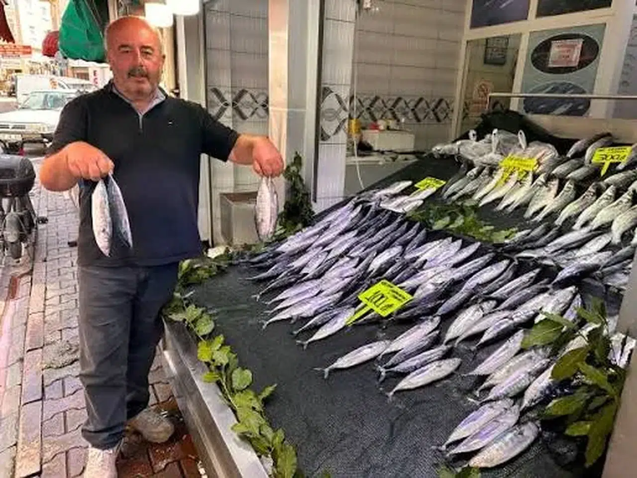 Balık sezonu ne zaman açılıyor? 2026 denizlerde av yasağının sona ereceği tarih