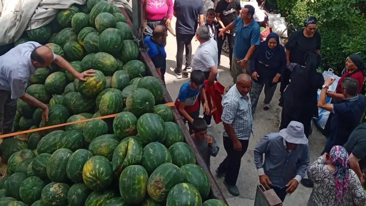 Tokat'ta bir üretici 27 ton karpuzu ücretsiz dağıttı