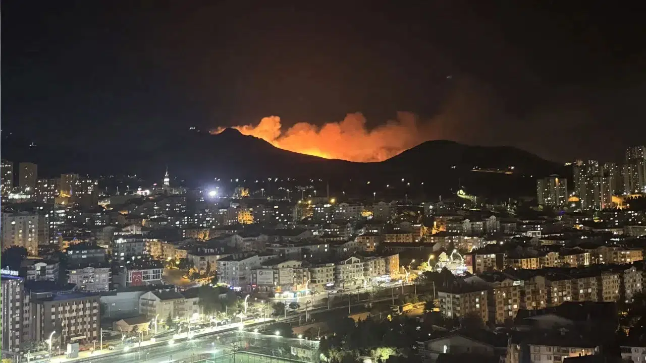 Ankara’da ağaçlık alanda yangın: 8 saat sonra söndürüldü