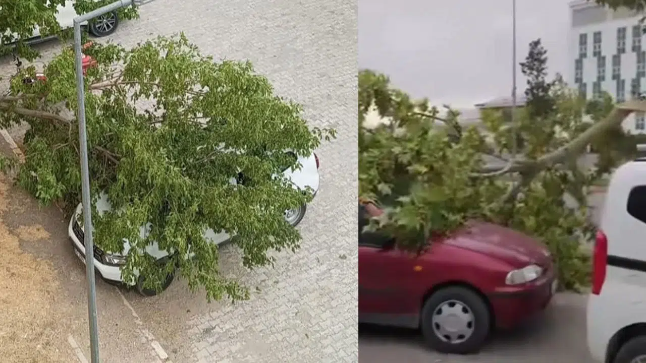 Van'da şiddetli fırtına:  Ev ve iş yerlerinin çatıları uçtu
