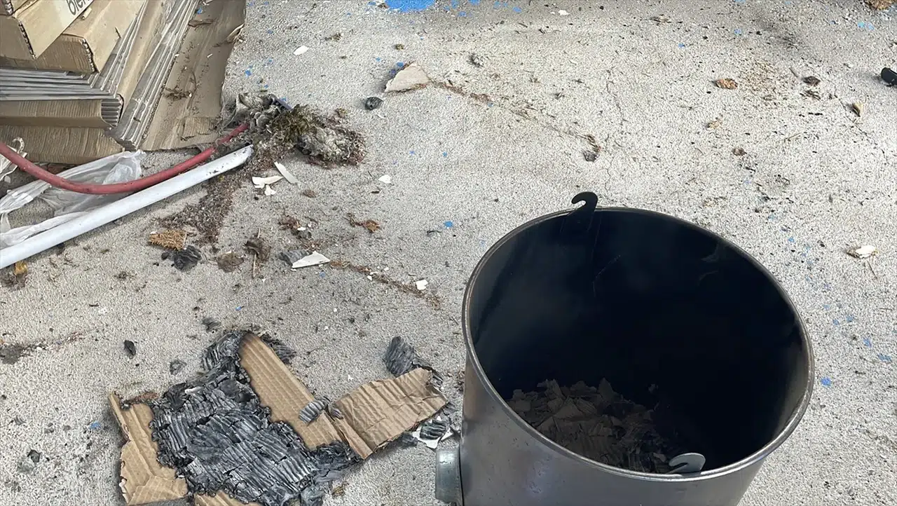 Kayseri’de arı saldırısı: 4 kişi yaralandı