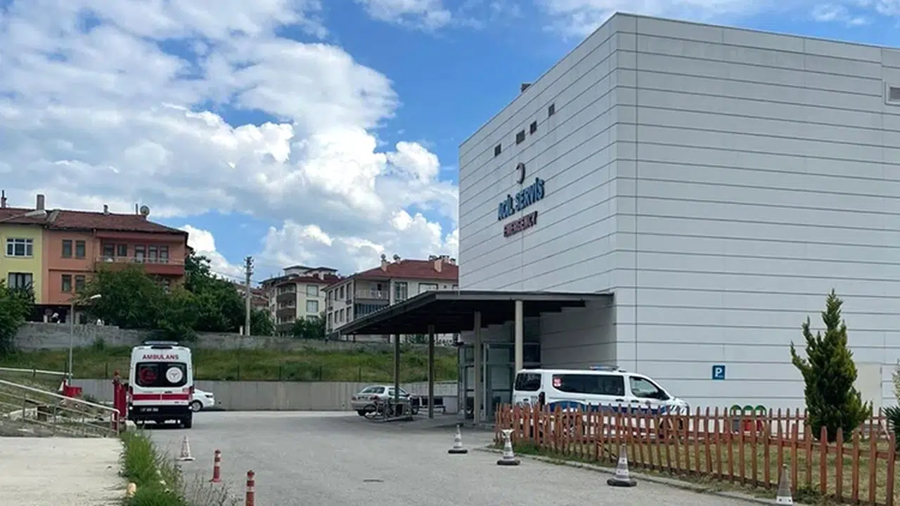 Dağda ağaç keserken arı soktu: 65 yaşındaki adam yaşamını yitirdi