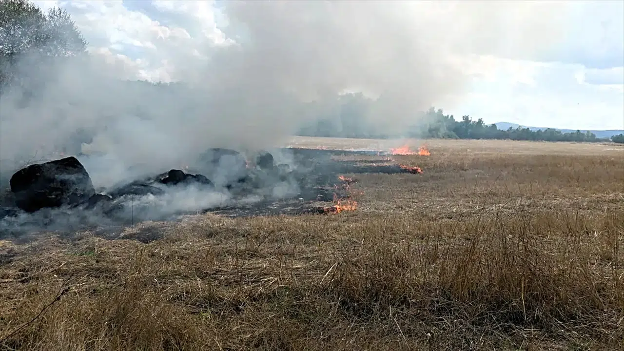 Karabük'de anız yangını: İtfaiye ve orman ekipleri müdahale etti