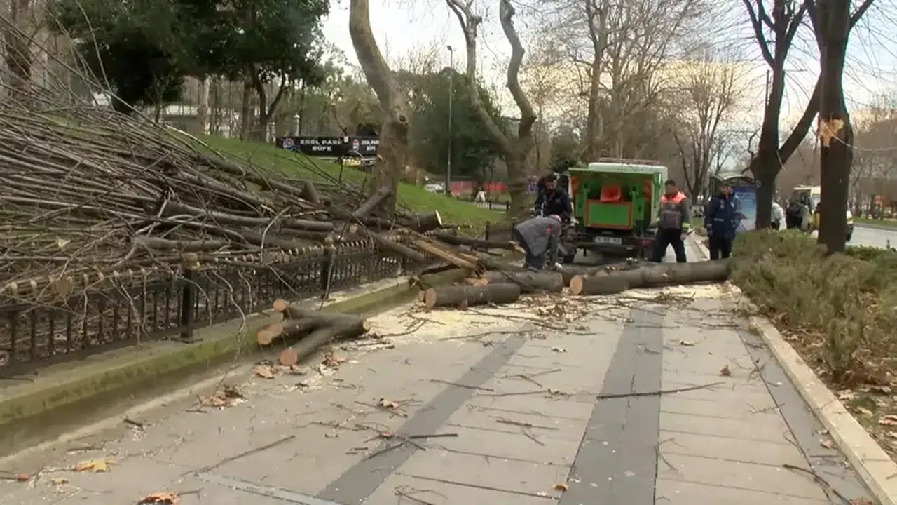 İstanbul’da sağanak yağış: Ağaçlar devrildi, rögarlar taştı