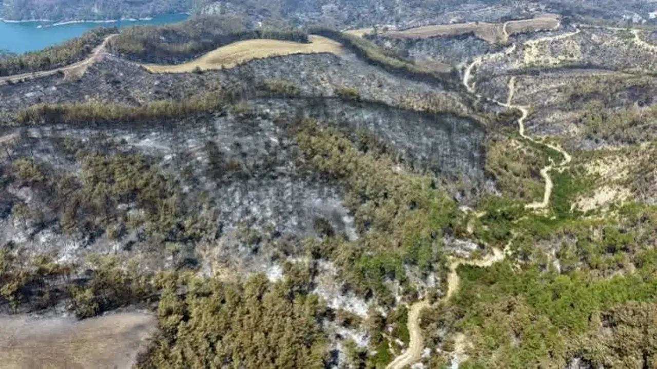 Adana’da 2 ilçede çıkan yangın kontrol altına alındı