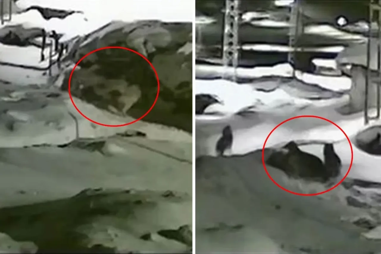 Şekip Mosturoğlu'ndan Fenerbahçe Stadı açıklaması, taşınma iddialarına yanıt geldi