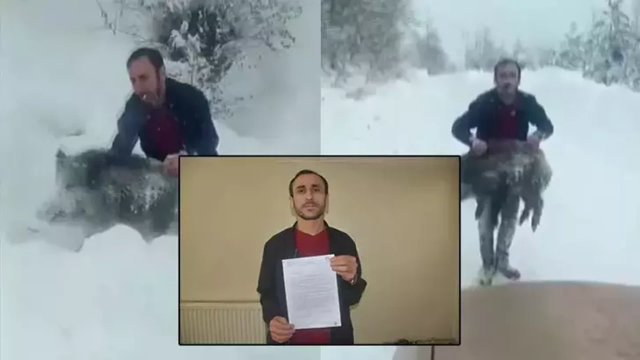Sinop'ta yavru domuzu elleriyle yakalamıştı: Şenel Yılmaz'a kesilen para ceza kaldırıldı