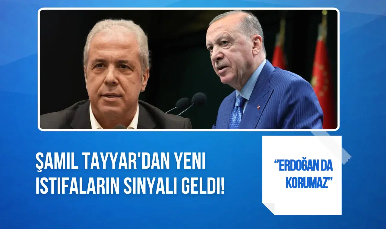 Şamil Tayyar'dan Ekonomi Yönetimine Sert Mesaj! Yeni İstifaları İşaret Etti: Erdoğan da Korumaz