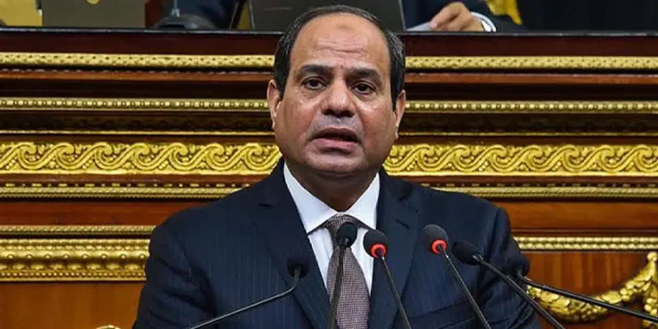 Sisi Afrika ülkelerine işbirliği çağrısında bulundu