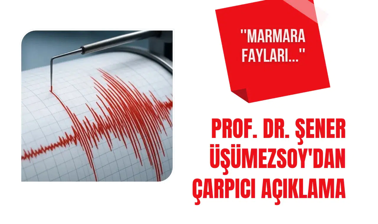 Şener Üşümezsoy'dan Marmara depremi açıklaması: “Kuzey Marmara'da kırılmamış fay yok”