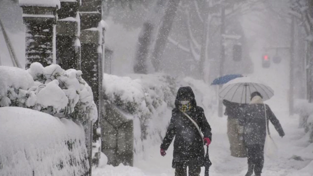 Japonya’da kar felaketi: 46 ölü, 558 yaralı