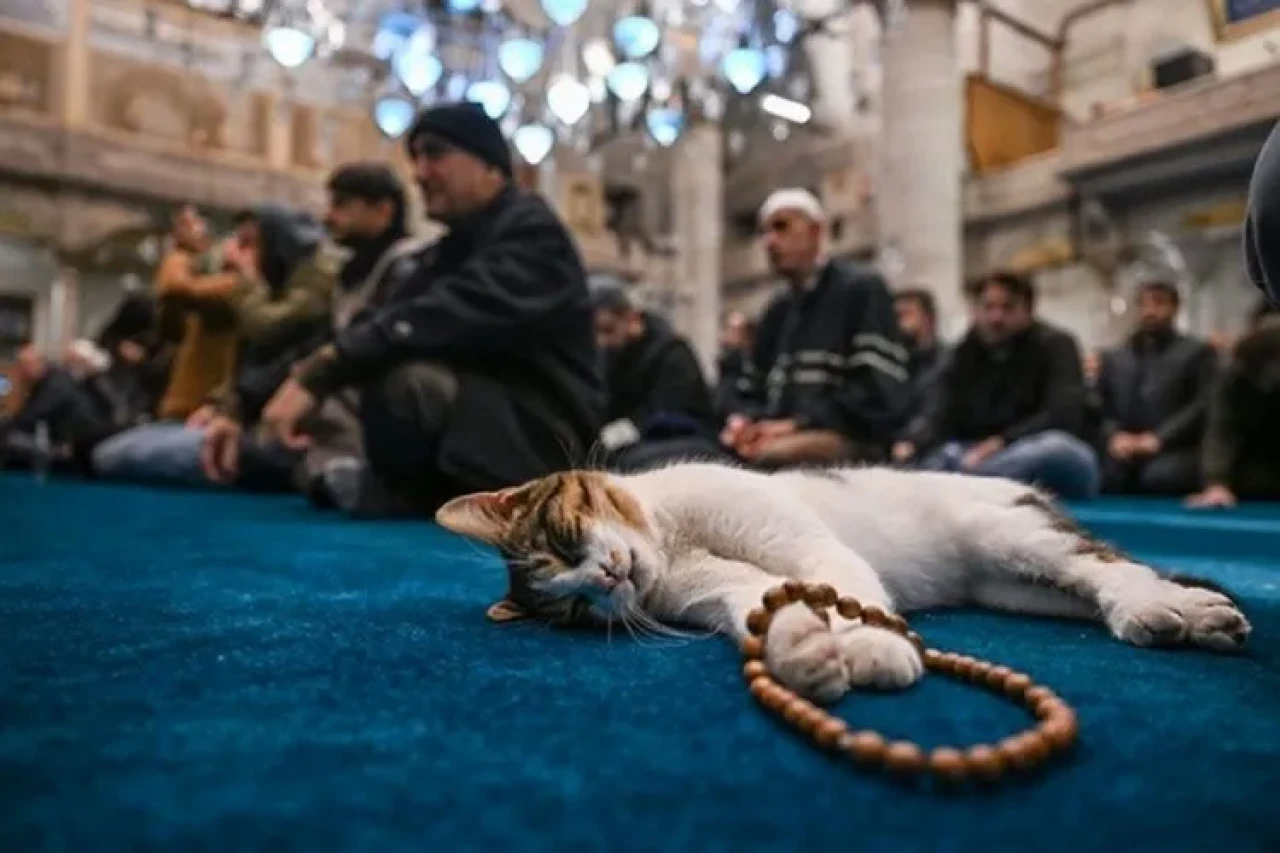 Ramazan ayı cuma mesajları 2026! En güzel, dualı, ayetli ve hadisli cuma sözleri