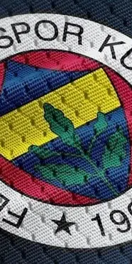 Fenerbahçe Futbol AŞ'de 7 yönetim kurulu üyesi istifa etti