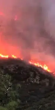 Antalya Kaş'ta orman yangını! Ekipler havadan ve karadan müdahale ediyor