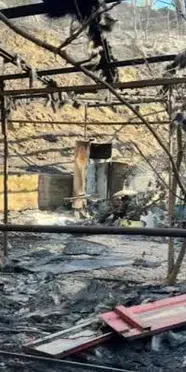 Tarım ve Orman Bakanlığı'ndan yangın açıklaması: "Mücadelemiz sürüyor"