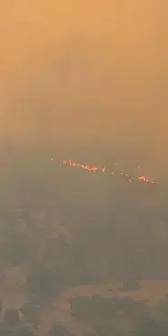 Muğla'da ziraat alanında başlayan yangın ormana sıçradı