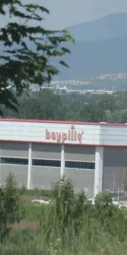 Bolu'da tavuk kesimhanesinde ilaçlama: 34 işçi hastanelik oldu