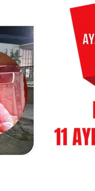 Sakarya'da eşini dövüp 11 aylık bebeğini çöp konteynerine bıraktı