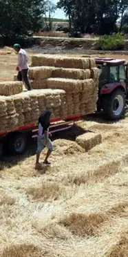 Tekirdağ Valiliği duyurdu: Balya bağlama ve açık alanda ateş yakılması yasaklandı