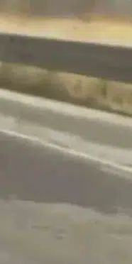 Mardin'de itfaiye aracının çarptığı itfaiye eri yaşamını yitirdi