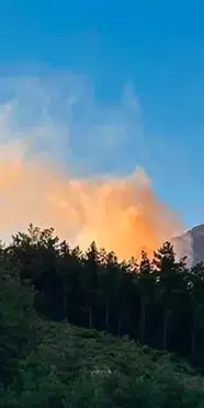 Adana orman yangını: Havadan ve karadan müdahale ediliyor