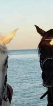 Ahu Yağtu’dan sevgilisi Bora Cengiz ile Mısır tatili paylaşımı!