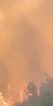 Susurluk'ta orman yangını: 6 uçak ve 5 helikopter görev yapıyor