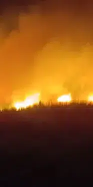 Diyarbakır'ın yangın: İtfaiye ekipleri müdahale ediyor