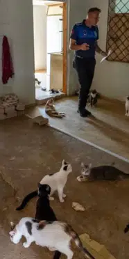 Kokunun nedeni çöp değildi! Ekipler eve girince şoke oldu