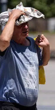 Almanya’da aşırı sıcaklara bağlı ölümler 12 Bin 500’e Yükseldi